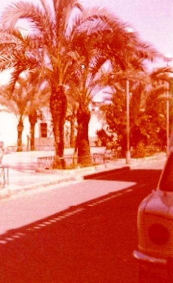 FOTOGRAFIES ANTIGUES (Gata en el record) -1.142, la del dia 1/6-