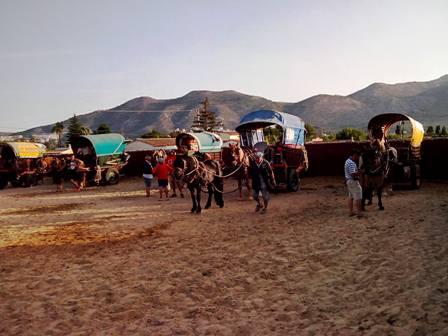 SEGUIX LA RUTA DEL CARRETERS GATERS PER LA MARINA