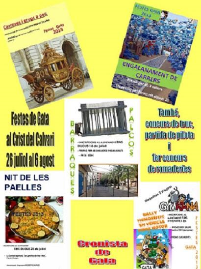 SABEU QUANTS CONCURSOS O COMPETICIONS HI HA AL VOLTANT DE LES FESTES DE GATA?