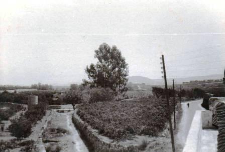 FOTOGRAFIES ANTIGUES (Gata en el record) -1.192, la del dia 21/7-