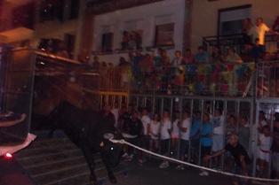 DIES DE BOUS DE GATA 2013, ESTA VESPRADA, A MEDITERRÁNEO TV