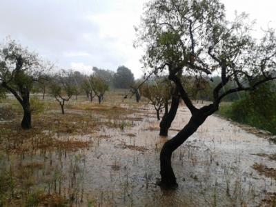 SEGUEIX LA PLUJA SENSE PARAR; PLOU SOBRE MULLAT; SUSPÉS EL MERCADET NOCTURN DE HUI