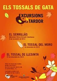 DISSABTE, DOS CITES: una esportiva i altra festera