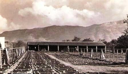 FOTOGRAFIES ANTIGUES (Gata en el record) -1.315-A, 1ª d'ahir dia 22/11-