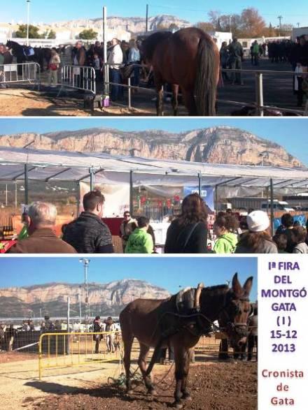 1ª FIRA DEL MONTGÓ ( I ): al Pare Montgó li han fet festa i de la gran