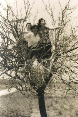 FOTOGRAFIES ANTIGUES (Gata en el record) -1.373, la del dia 19/1-