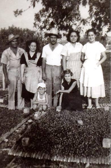 FOTOGRAFIES ANTIGUES (Gata en el record) -1.378, la de hui dia 24-