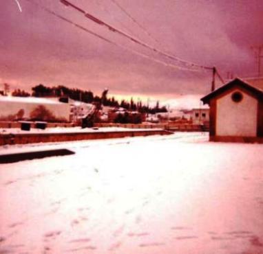 LA GRAN NEVADA DE FEBRER DE 1983. Era el 12 de febrer, fa 31 anys