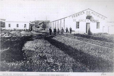 TRES GENERACIONS I UN SEGLE FABRICANT MOBLES DE JONC, MÈDULA I VÍMET, ELS ESTANQUERS: Capítol II: retorn a Gata, societat amb altres empresaris