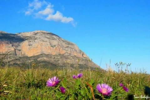 IMATGES CURIOSES: Sempreel Montgó