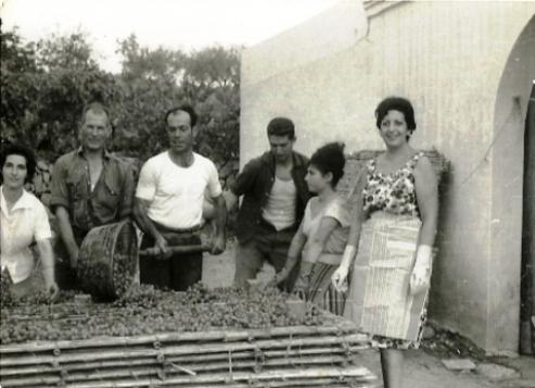 FOTOGRAFIES ANTIGUES (Gata en el record) -1.435, la de hui dia 22/3