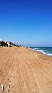 LA FONT DEL RIU S'EN VA A LA MAR: HUI, CONCURS DE PESCA