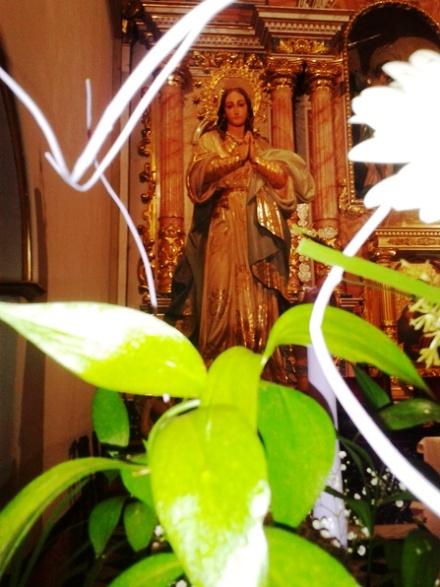 IMATGES CURIOSES: Mirant a la Verge