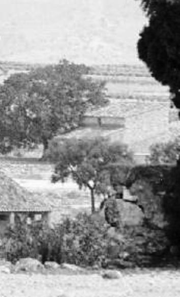 FOTOGRAFIES ANTIGUES (Gata en el record) -1.490, la del dia 16/5-