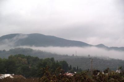 LANY 2014 SOLS PORTA REGISTRATS 29 LITRES M2 DE PLUJA