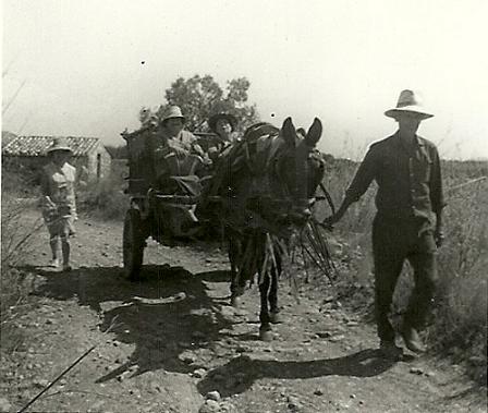 FOTOS ANTIGUES (Gata en el record) -1.522, la del dia 17/6-