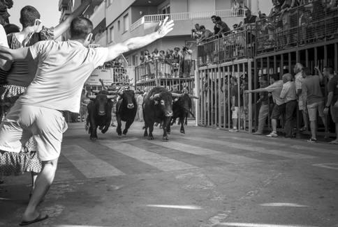 IMATGES DE FESTA: plasticitat i moviment, entrada de bous a Gata