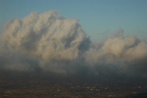 IMATGES CURIOSES: Gata, baix la boira del calor