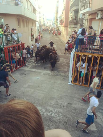 SEGUIX ANIMANT-SE L'ENQUESTA: opineu, el millor i el no tan millor de les festes 2014