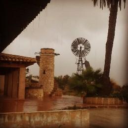 S'HAN MESURAT 26 LITRES DE PLUJA A GATA: aigua molt profitosa