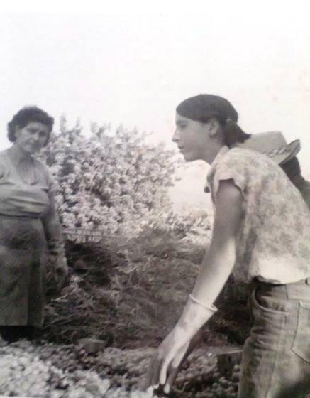 FOTOGRAFIES ANTIGUES (Gata en el record) -1.569, la del dia 3/8-