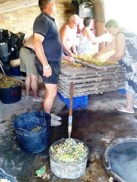 COSTUM AGRÍCOLA A GATA: És temps d'escaldar ( 1 )