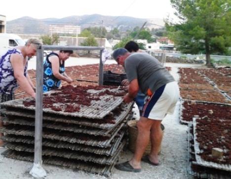 COSTUM AGRÍCOLA A GATA: És temps d'escaldar ( 4 )