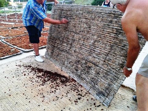 COSTUM AGRÍCOLA A GATA: És temps d'escaldar ( 5 )