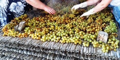 COSTUM AGRÍCOLA A GATA: És temps d'escaldar ( 7 )