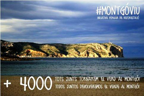 NAIX UNA INICIATIVA PER A REFORESTAT EL MÉS AVIAT POSSIBLE LA ZONA INCENDIADA DEL MONTGÓ