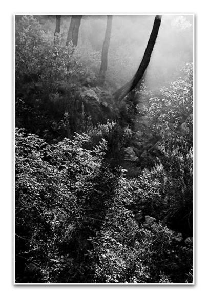 ANTONIO SALVÁ, MIGUEL ÁNGEL SERRA I PEPE MENGUAL, PREMIATS AL III RAL·LI FOTOGRÀFIC DE XÀBIA