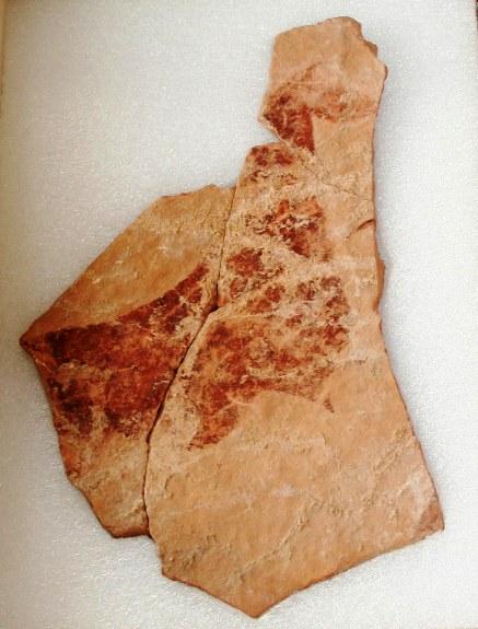 LA PLAQUETA DE LA COVA DEL PARPALLÓ S'EXPOSARÀ A LA FIRA GATA AL CARRER 2014