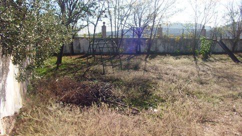 FESTA TRADICIONAL DE TOTS SANTS I FIDELS DIFUNTS ( II ): CURIOSITATS DE LANTIC CEMENTERI PARROQUIAL (1885-1929)