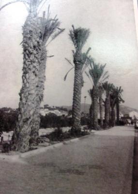 FOTOGRAFIES ANTIGUES (Gata en el record) la nº 1.682 del 24/11/2014-