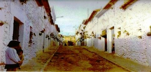 FOTOGRAFIES ANTIGUES (Gata en el record) -1.685, la del dia 27/11/2014-