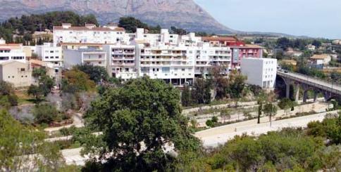 BOP: APROVACIÓ DEFINITIVA DEL CATÀLEG D'ARBRES MONUMENTALS D'INTERÉS LOCAL DE GATA