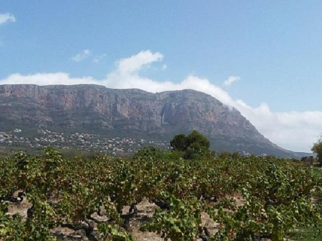 GATA: VISTES D'UN DIA CAP AL MONTGÓ (12,45 h.) ( III )