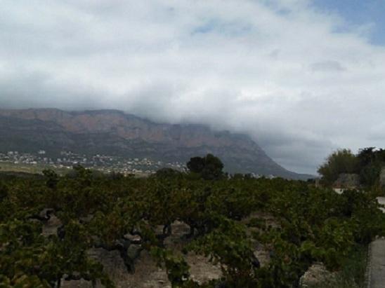 GATA: VISTES D'UN DIA CAP AL MONTGÓ (14,45 h.) ( IV )