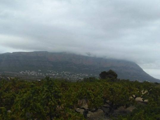 GATA: VISTES D'UN DIA CAP AL MONTGÓ, ahir 20,45 h. ( i VI )