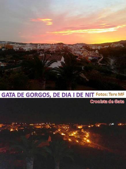 IMATGES CURIOSES: Gata de dia i Gata de nit (Fotos: Tere MF)