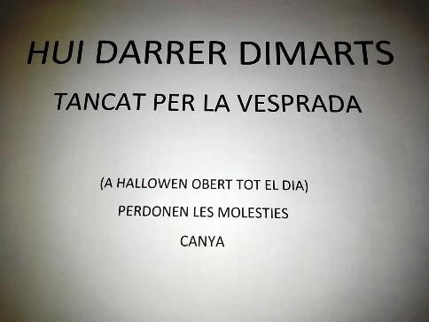 IMATGE CURIOSA: A GATA CELEBREM EL DARRER DIMARTS