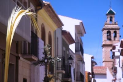 DIUMENGE RAMS A GATA: Processó de les palmes i Dinar Popular