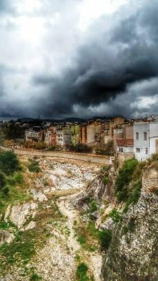 GATA REGISTRA 27 LITRES A LA PLUJA D'AHIR DILLUNS SANT