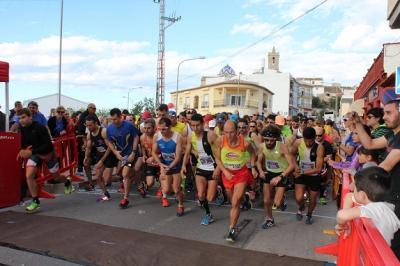 GATERES I GATERS TAMBÉ CORREN A LA I VOLTA A PEU DEL POBLE NOU DE BENITATXELL