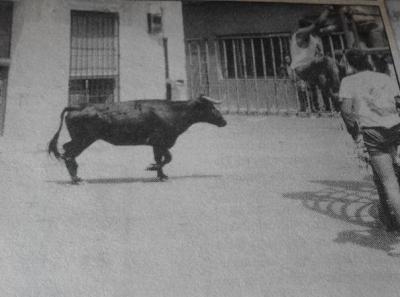 DIARI GATER DE 30 ANYS (1987-2016) -seguint el 30 setembre, 1988-