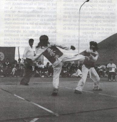 DIARI GATER DE 30 ANYS (1987-2016) -1 a 4 de novembre, 1988-