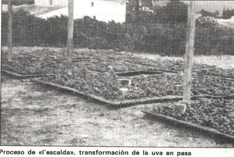 DIARI GATER DE 30 ANYS (1987-2016) -8 a 11 de novembre, 1988-