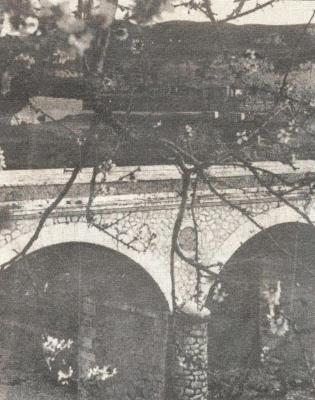 DIARI GATER DE 30 ANYS (1987-2016) -14 al 24 de febrer, 1989-