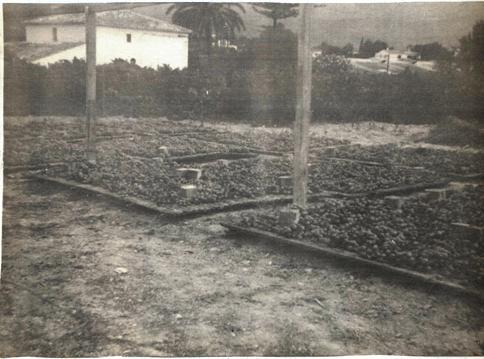 DIARI GATER DE 30 ANYS (1987-2016) -26 al 28 de febrer, 1989-