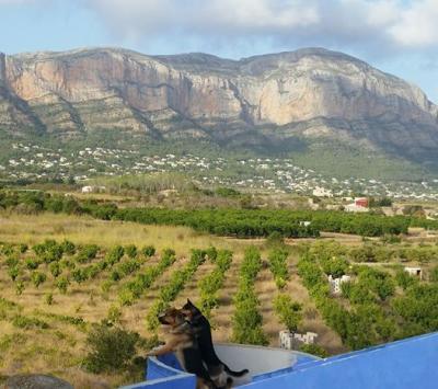 IMATGES CURIOSES: GATA, FINAL D'AGOST, GOSSOS, CAMPS DE GATAI EL MONTGÓ